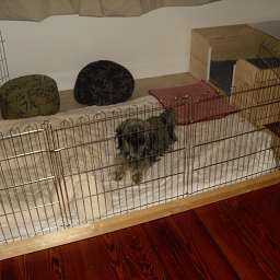 Wilma, Wurfbox
