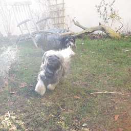 Wilma, Maxi