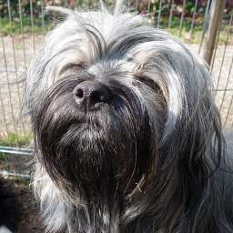 Wilma
