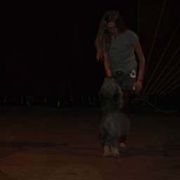 Wilma, Nora