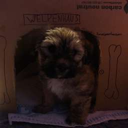 Berti-Brezel
