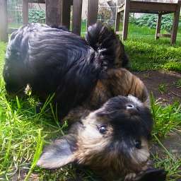 2012-04-28_1646260018.JPG