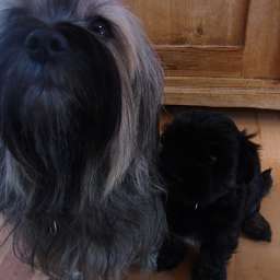 2012-05-10_1136310004.JPG