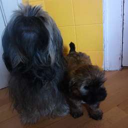 Wilma, Bella