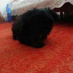 2012-05-12_1842510003.JPG