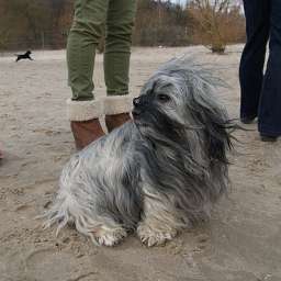 Wilma