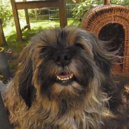 Wilma