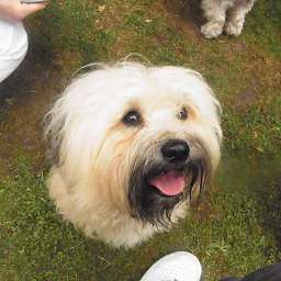 Berti-Brezel