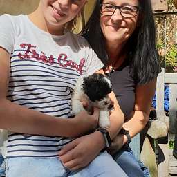 Jule