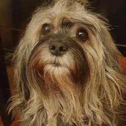 Wilma