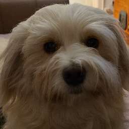 2021-10-24_12234567890.jpeg