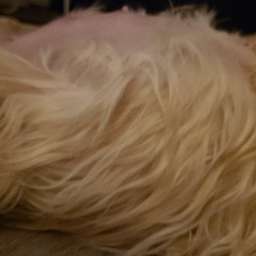 2021-11-23_1234567890.jpeg