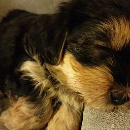 2023-01-30_1234512345.jpeg