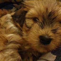 2023-01-30_1234556789.jpeg